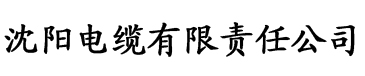 我成为了全班同学都能上的公交车电缆厂logo